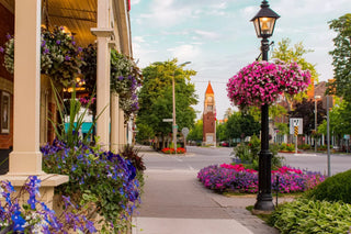 Summer in the Niagara region: Blooming flowers and the memorial clock tower create a picturesque scene.