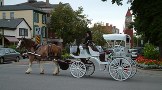 Discover hidden gems in Niagara-on-the-Lake, from historic sites to captivating parks. Book your stay at Cellar House.